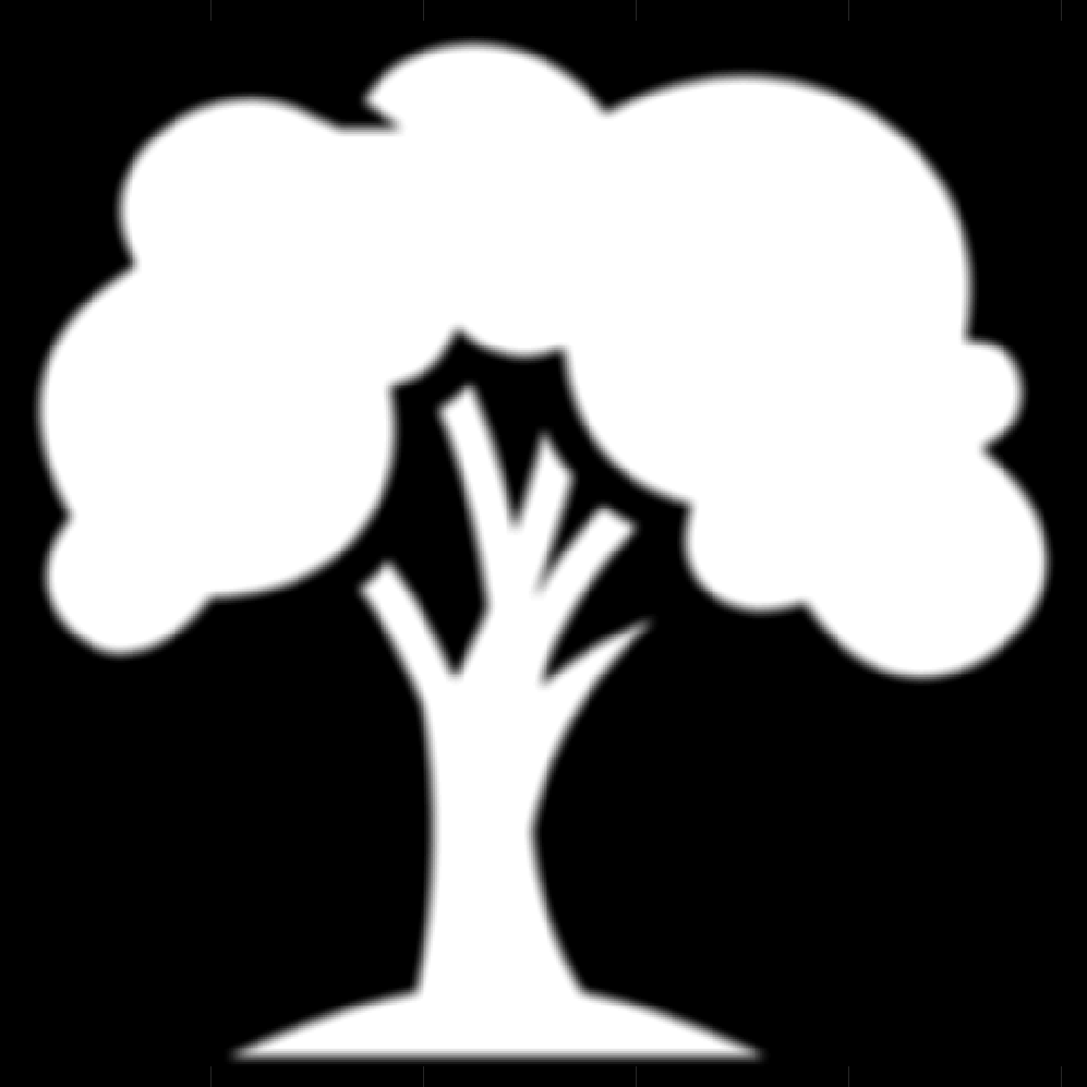 images/beech_white_conv_blurr_cropped.png