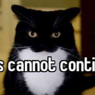 Photo du profil de l'utilisateur