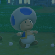 Photo du profil de l'utilisateur