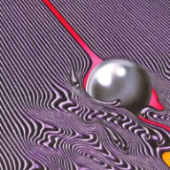 Photo du profil de l'utilisateur