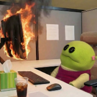 Photo du profil de l'utilisateur